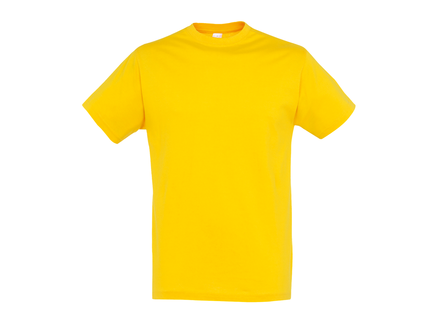 T-shirt SOL'S REGENT